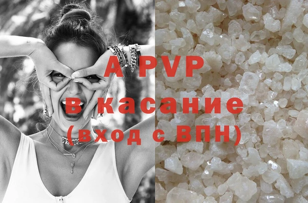 сатива Аркадак