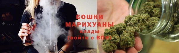 сатива Аркадак