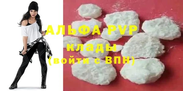 сатива Аркадак