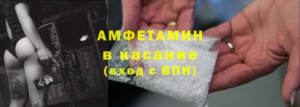 сатива Аркадак
