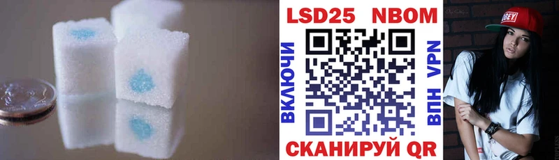 купить наркоту  Починок  Лсд 25 экстази кислота 